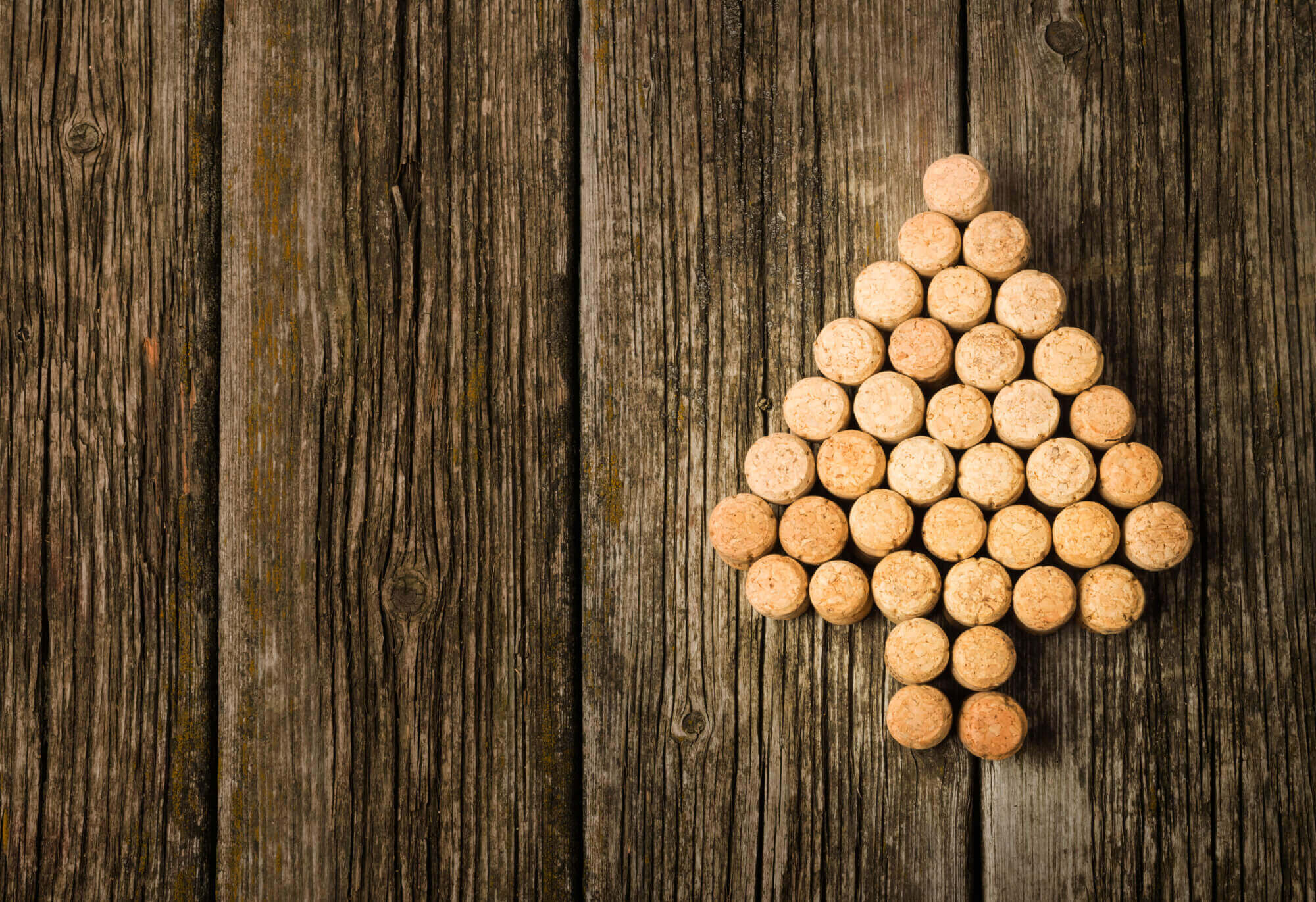 Top Ways Cork is Revolutionizing Sustainable Living